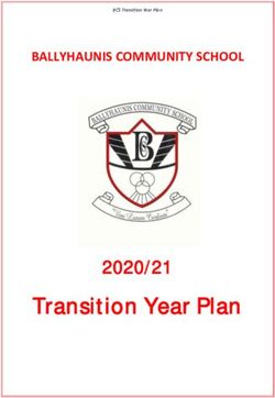 Transition Year Plan 2020/21 - BALLYHAUNIS COMMUNITY SCHOOL