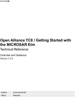 Open Alliance TC8 / Getting Started with the MICROSAR Etm - Technical Reference Overview and Guidance Version 1.0.0