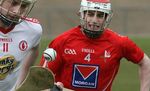 DKIT AND LOUTH GAA HURLING AND GAELIC FOOTBALL - 2018/2019 INFORMATION AND CRITERIA