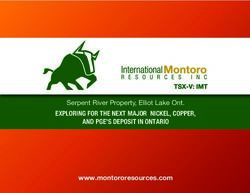 Serpent River Property, Elliot Lake Ont - EXPLORING FOR THE NEXT MAJOR NICKEL, COPPER, AND PGE'S DEPOSIT IN ONTARIO