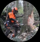 The FSC National Forest Stewardship Standard of the Federal Republic of Germany