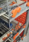 Egg collection systems - Flexible, efficient and gentle on the eggs