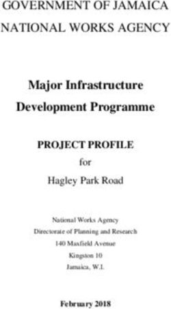 GOVERNMENT OF JAMAICA NATIONAL WORKS AGENCY - Major Infrastructure Development Programme