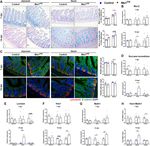 Constitutive Musashi1 expression impairs mouse postnatal development and intestinal homeostasis