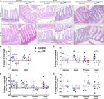 Constitutive Musashi1 expression impairs mouse postnatal development and intestinal homeostasis