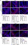 Constitutive Musashi1 expression impairs mouse postnatal development and intestinal homeostasis