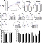 Constitutive Musashi1 expression impairs mouse postnatal development and intestinal homeostasis