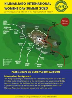 KILIMANJARO INTERNATIONAL WOMENS DAY SUMMIT 2020 - Zara Tours