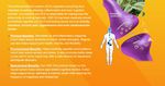 Protecting Older Consumers - 2020-2021 A Report of the Federal Trade Commission - Federal Trade Commission - Federal Trade ...