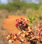 KAHO OLAWE ISLAND RESERVE FY17 YEAR-IN-REVIEW - Kaho olawe Island Reserve Commission
