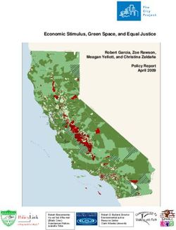Economic Stimulus, Green Space, and Equal Justice