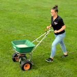 Managing Crane Fly in Lawns - Adult crane flies are a - OSU Extension Catalog