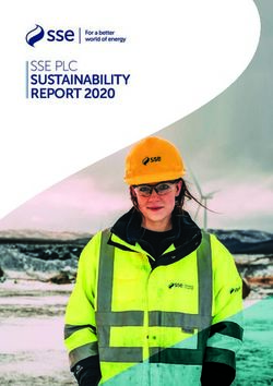 SSE PLC SUSTAINABILITY REPORT 2020