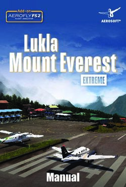 Mount Everest Lukla - Steam