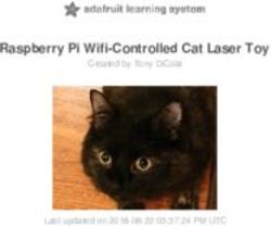 Raspberry Pi Wifi-Controlled Cat Laser Toy - Adafruit