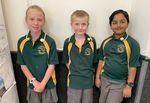 Appin Public School Strive to Improve 8th December, 2020 (Term 4, Week 9) - NSW ...