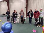 ORLANDO DOG TRAINING CLUB