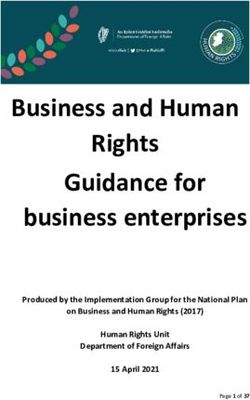 Business and Human Rights Guidance for business enterprises - Produced by the Implementation Group for the National Plan on Business and Human ...