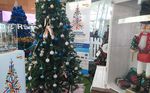Make your business shine bright this year with a branded Christmas Tree at Wellington Airport - and together we can give people with cystic ...