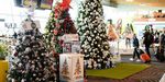 Make your business shine bright this year with a branded Christmas Tree at Wellington Airport - and together we can give people with cystic ...
