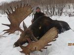 Giant Moose hunting in Russia - Magada 2022-2023