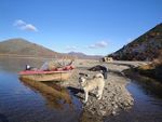 Giant Moose hunting in Russia - Magada 2022-2023