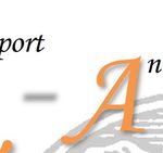 S ayment and eport A nnex - Standardization in Information Technology related to Digital Currencies