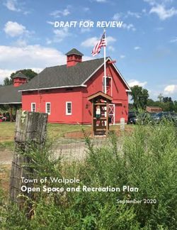 DRAFT FOR REVIEW - Town of Walpole Open Space and Recreation Plan - Walpole MA