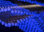 Fathom - National Maritime Museum Cornwall