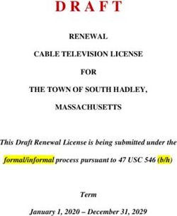 RENEWAL CABLE TELEVISION LICENSE FOR THE TOWN OF SOUTH HADLEY, MASSACHUSETTS - This Draft Renewal License is being submitted under the ...