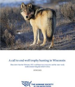 A call to end wolf trophy hunting in Wisconsin - Data show that the February 2021 wolf hunt was excessive and the state vastly undercounted ...