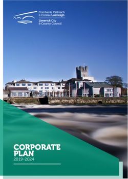 CORPORATE PLAN 2019-2024 - Limerick.ie