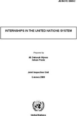 INTERNSHIPS IN THE UNITED NATIONS SYSTEM - JIU/NOTE/2009/2