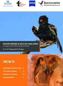 TAKE ME TO: KRUGER BIRDING & WILDLIFE CHALLENGE - Rockjumper Birding Tours