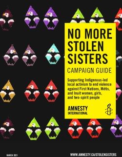 NO MORE STOLEN SISTERS - CAMPAIGN GUIDE Supporting Indigenous-led local activism to end violence against First Nations, Métis, and Inuit women ...