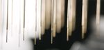 The White FOx FOx BIOSYSTEMS - Innovative fiber-optic-based surface plasmon resonance combining the performance of SPR with the ease of use of a ...