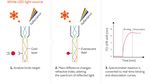 The White FOx FOx BIOSYSTEMS - Innovative fiber-optic-based surface plasmon resonance combining the performance of SPR with the ease of use of a ...