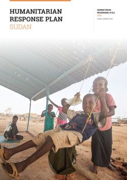 HUMANITARIAN RESPONSE PLAN SUDAN - HUMANITARIAN PROGRAMME CYCLE 2020 - World Health Organization