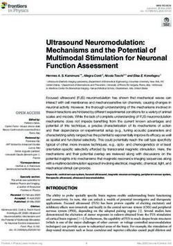 Ultrasound Neuromodulation: Mechanisms and the Potential of Multimodal Stimulation for Neuronal Function Assessment