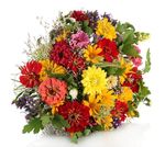 CBI Product Factsheet: Fresh Cut Summer Flowers in the European market