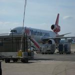 CBI Product Factsheet: Fresh Cut Summer Flowers in the European market