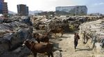 Left behind by the G20? - How inequality and environmental degradation threaten to exclude poor people from the benefits of economic growth