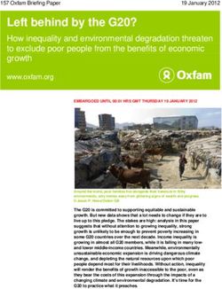 Left behind by the G20? - How inequality and environmental degradation threaten to exclude poor people from the benefits of economic growth