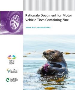 Rationale Document for Motor Vehicle Tires Containing Zinc - MARCH 2021 DISCUSSION DRAFT