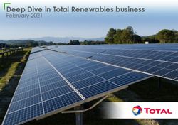 Deep Dive in Total Renewables business - February 2021 - TotalEnergies