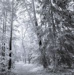 Review Th - Phinney Neighborhood Association