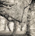 Review Th - Phinney Neighborhood Association