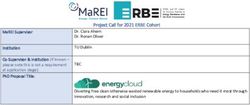 PROJECT CALL FOR 2021 ERBE COHORT - MAREI