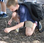 Learning & Fun Your Way This Fall! - Parkway-Rockwood ...