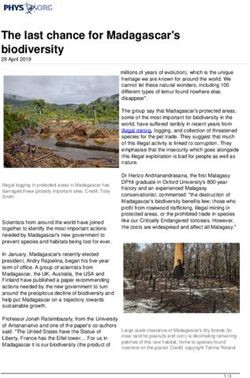 The last chance for Madagascar's biodiversity - Phys.org